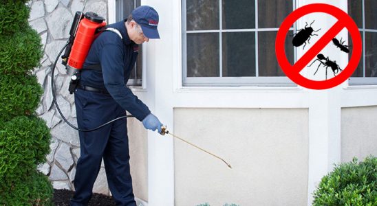 Çakmaklı Fare İlaçlama böcek ilaçlama ve haşere kontrolü — ilaclama-tr.com